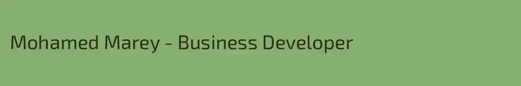 Mohamed Marey - Business Developer